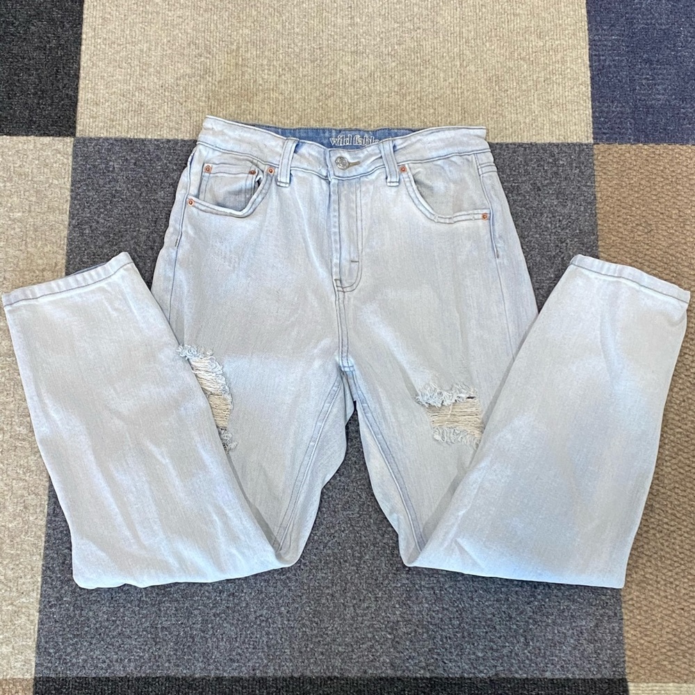 Wild Fable Jeans